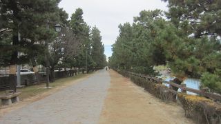 日本の道100選にも選定