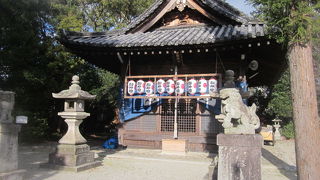 本殿脇の高春稲荷もお見逃しなく！