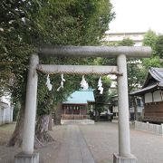 立派な石の鳥居と参道。