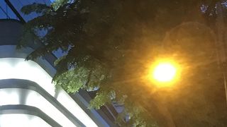 日本人が減った