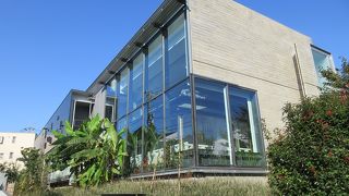 漱石ファンの方は特に楽しめるかと。