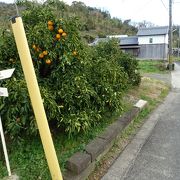 こんなところにも熊野古道が！？