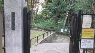 立派な日本庭園。