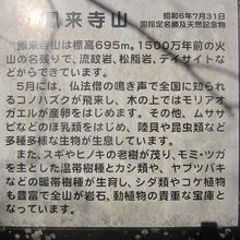 鳳来寺山には、モリアオガエルさんも生息しています
