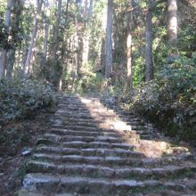 石段の様子もバリエーションに富んでいて飽きません