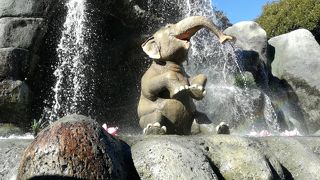 ジャングルを探検