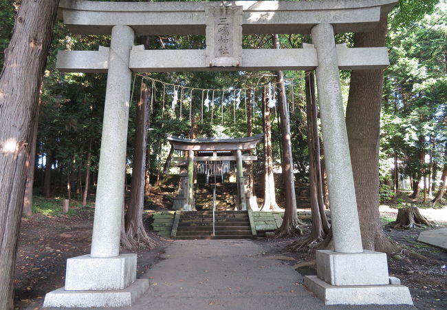 緑に覆われた癒しの静寂空間