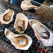 九十九島かき食うカキ祭り 秋の陣