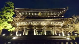 ライトアップだけでも十分美しかったです。