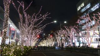今年も表参道に明るく輝くイルミネーションを観て来ました!!