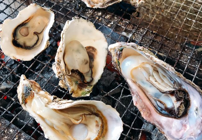 九十九島かき食うカキ祭り 秋の陣