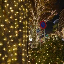 低木の街路樹にも沢山のイルミネーションです