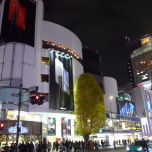 ネオン灯に映されださせる銀杏の木　この木も観たい景色です