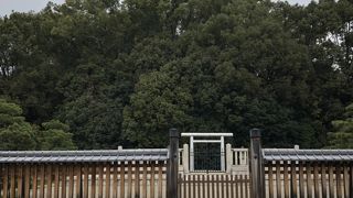 壮大なスケール