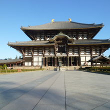 誰もいない大仏殿はいい眺めです