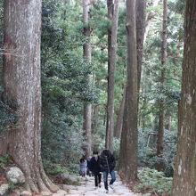 那智の滝に続く裏参道