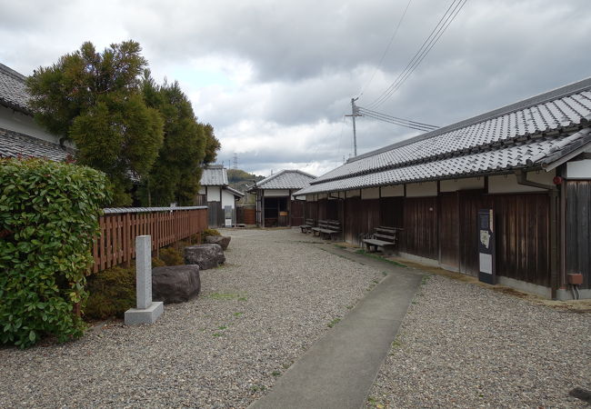 青洲の里にあります