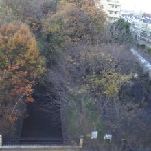 玉川上水の両脇につづく自然豊かな緑道です