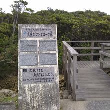 遊歩道の入口