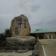 手軽に海中観察できる （宮古島海中公園）