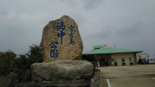 手軽に海中観察できる （宮古島海中公園）