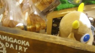 買い物いろいろできる