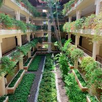 ホテルのコートヤード