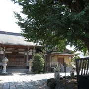 立派なイチョウが境内にあるお寺