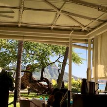 ダイヤモンドヘッドを眺めながら。