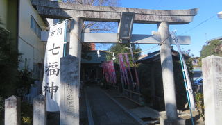 文化施設の見学をしながら周れます