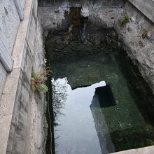 温泉の湯元。暖かいです。