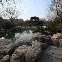 立派な庭石。日本では１個１００万円近いのでは？