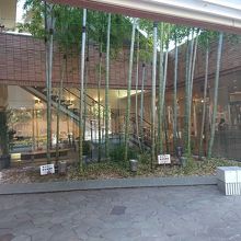 切手の博物館の入口の東には、竹が植えられていて、趣があります