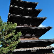 三十数メートルを見上げる