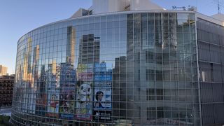 子供も大人も楽しめる