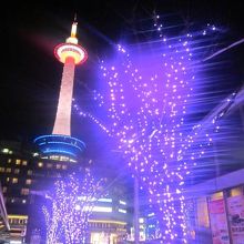 ピンク（パープル？）バージョンはこちら。