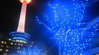 冬は手前の色が変わる木々のイルミネーションとのコラボが美しかったです