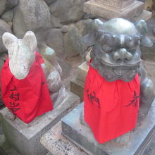 二匹並んだお姿がまたキュンとしました( ´∀｀ )