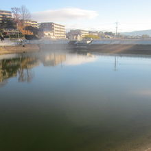 池自体は素朴な自然景観が楽しめる素晴らしい池だと思います
