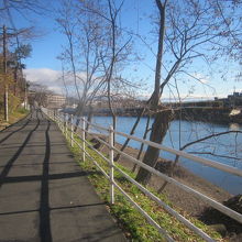 池に直接面した道路部分は案外少ないように感じました