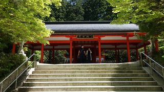 鮮やかなコントラストでした