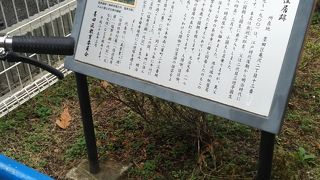 亀沢第一児童遊園の端っこにあります。