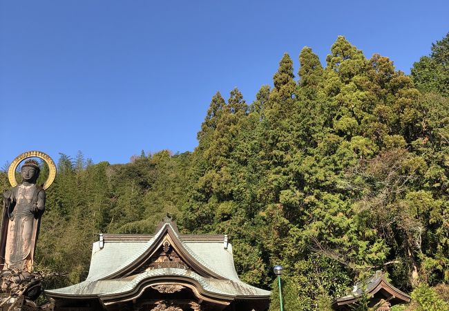 土佐市 須崎市のおすすめ観光スポット クチコミ人気ランキングtop フォートラベル 高知県 土佐市 須崎市のおすすめ観光スポット クチコミ人気ランキングtop フォートラベル 高知県