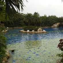 ジャングルプール