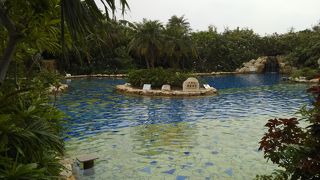 冬でもジャングルプールでゆったり （シギラ黄金温泉）