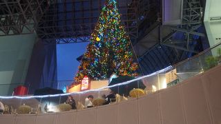 大きなツリーがあります。