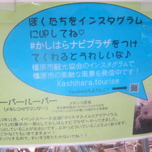 ウーパールーパーちゃんはこんな感じで紹介されていましたよ！