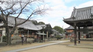 境内としてのまとまりがない感じです。