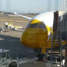 スクート航空の機体外部です。成田における搭乗前の様子です。