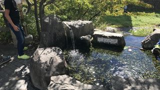 カエルの置物が多い通りです。